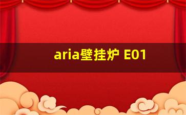 aria壁挂炉 E01